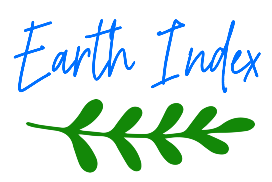 Earth Index logo